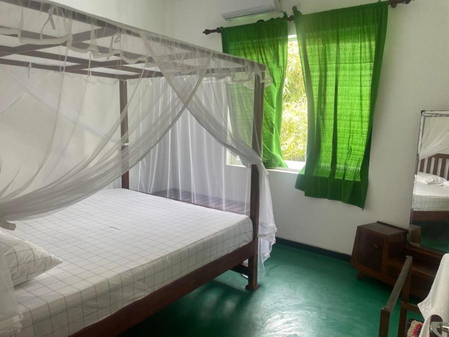 Why Not Backpackers Mirissa Exterior foto