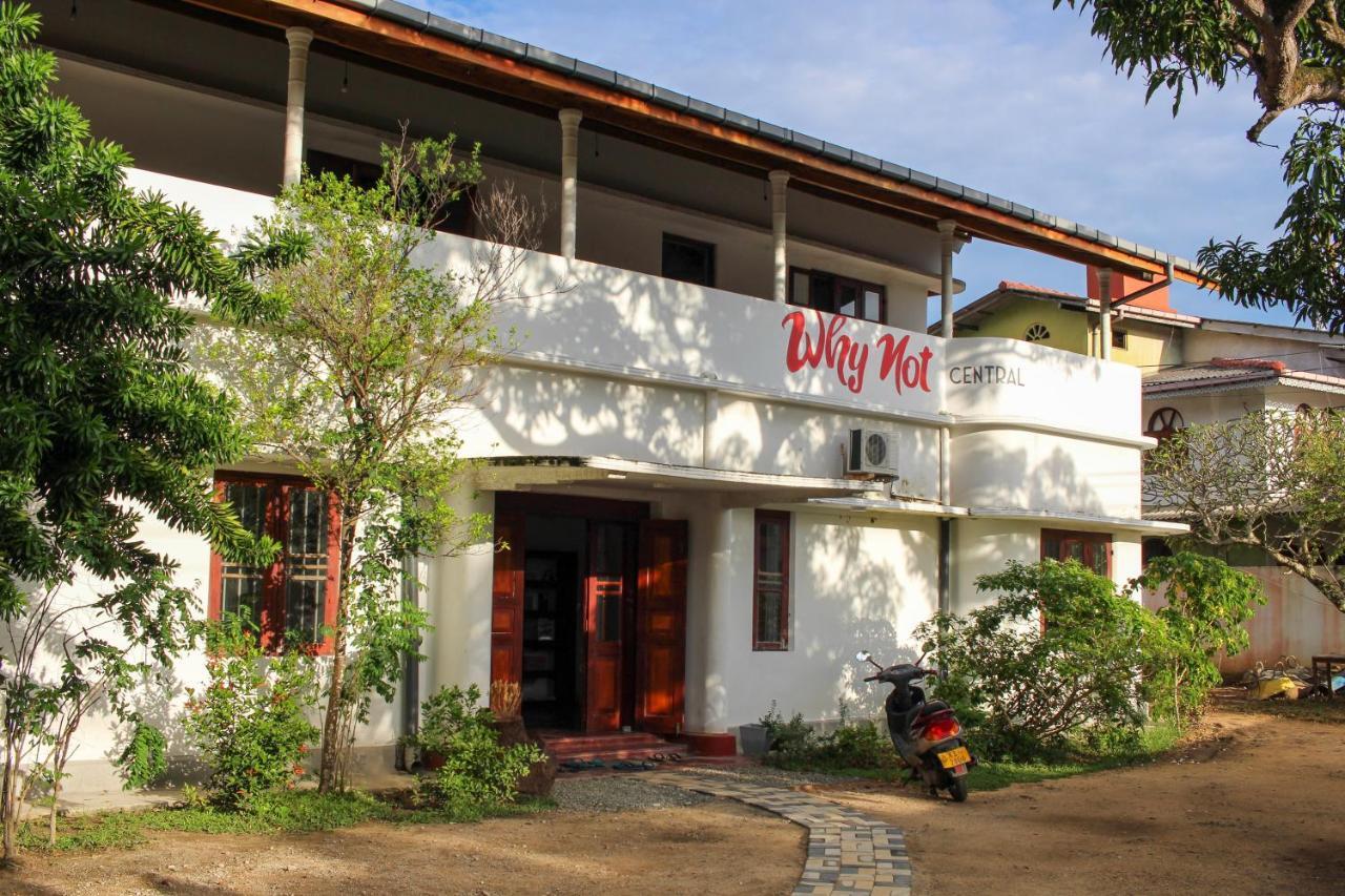 Why Not Backpackers Mirissa Exterior foto